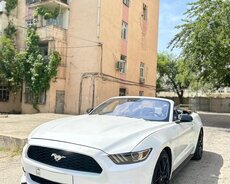 Ford Mustang Cabriolet kirayəsi