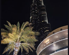 Dubay turu yay və payız aylarına