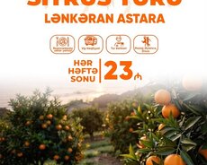 Lənkəran Astara sitrus turu