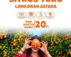 Lənkəran Astara sitrus turu