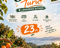 Lənkəran Astara sitrus turu