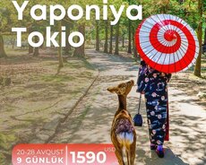 Japan тур, тур по Токио