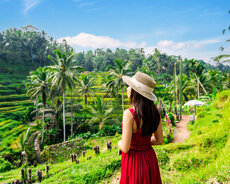 Bali turu (Indoneziya)