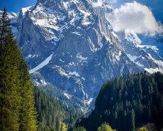 Alp Avropa Qrup Turu
