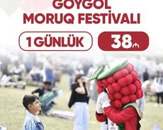 Ganja Легендарный фестиваль малины в Гёйгёле