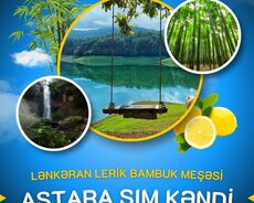 Lənkəran Lerik Astara Sım turu 2 günlük