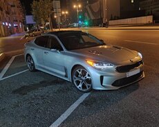 Kia Stinger kirayəsi