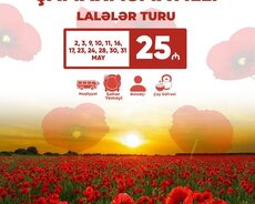 Şamaxı İsmayıllı Lələlər turu