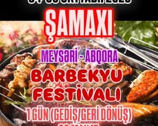 Şamaxı Turu