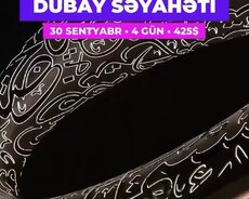 Dubay turu