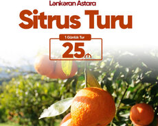 Lənkəran Astara Sitrus turu