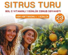 Ленкорань Астара Цитрусовый тур