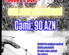Qəbələ, Oğuz, Şəki