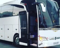 Мерседес Травего заказать