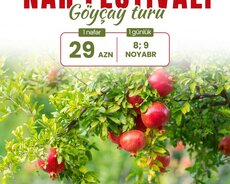 Göyçay Nar Festivalı