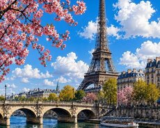 Paris Turu