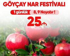 Исмаиллы Гёйчай Тур на фестиваль граната (со скидкой)