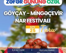 Гейчайский фестиваль граната