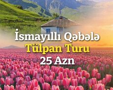 İsmayıllı Qəbələ Tülpan turu