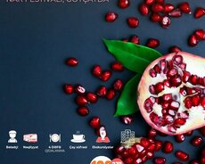 Göyçay Mingəçevir Şəki Qəbələ turu