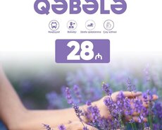 1 günlük Qəbələ Lavanda turu