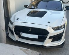 Ford Mustang Shelby icarəsi