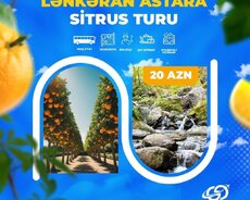 Ленкорань Астара Цитрусовый тур