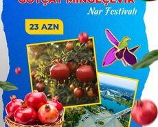 Göyçay Mingeçevir turu