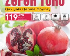 Göyçay Nar Festivalı turu