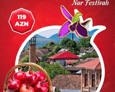 Qax Şəki Qəbələ Göyçay Nar turu