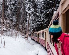 Yeni il Bakurianidə