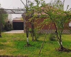 Lənkəran bağ evi icarə