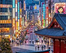 Tokyo sakura turu