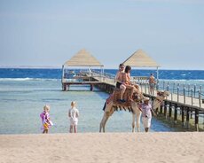 Qaynar Şarm Əl Şeyx turu