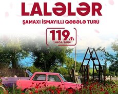 Şamaxı İsmayıllı Qəbələ Lalələr turu