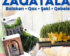 Balakən Zaqatala Qax Şəki Qəbələ Mingəçevir