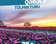 Праздник Новруз Исмаиллы - Габала - Шеки Тур