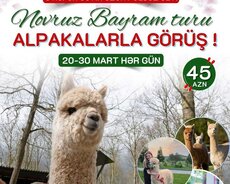 Шамаха Альпака Исмаиллы Баскал Тур