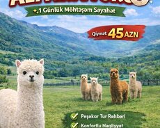 Şamaxı İsmayıllı turu
