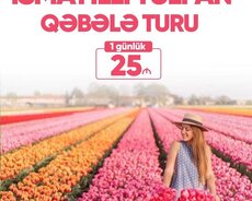 İsmayıllı Qəbələ Tülpan turu