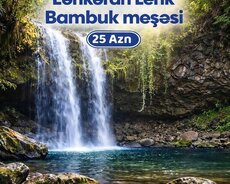 Туры в Ленкорань Лерик