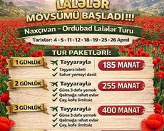 Naxçıvan Ordubad Lalələr Turu