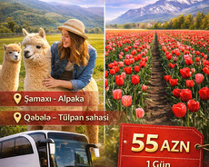 Шамахи Габала тур