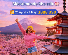 Yaponiya sakura mövsümü turu