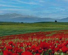 Şamaxı İsmayıllı turu