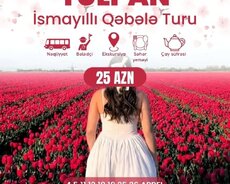 İsmayıllı Qəbələ Tülpan Turu