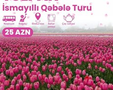 İsmayıllı Tülpan Qəbələ turu