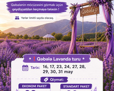 Qəbələ Lavanda Turu