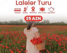 Şamaxı İsmayıllı Lalələr Turu
