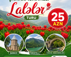 Şamaxı İsmayıllı Lalələr Turu